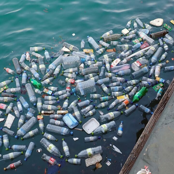 Vaidere: Ja paši Latvijā necīnīsimies ar plastmasas atkritumu problēmu